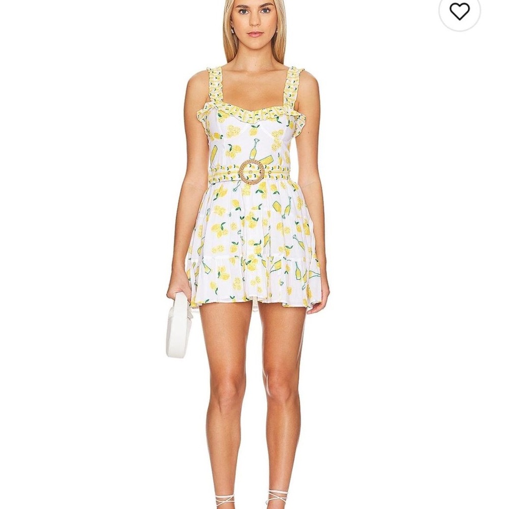 Show Me Your MuMu Lemon Print Mini Dress